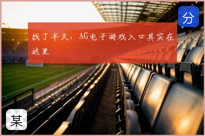 找了半天，AG电子游戏入口其实在这里